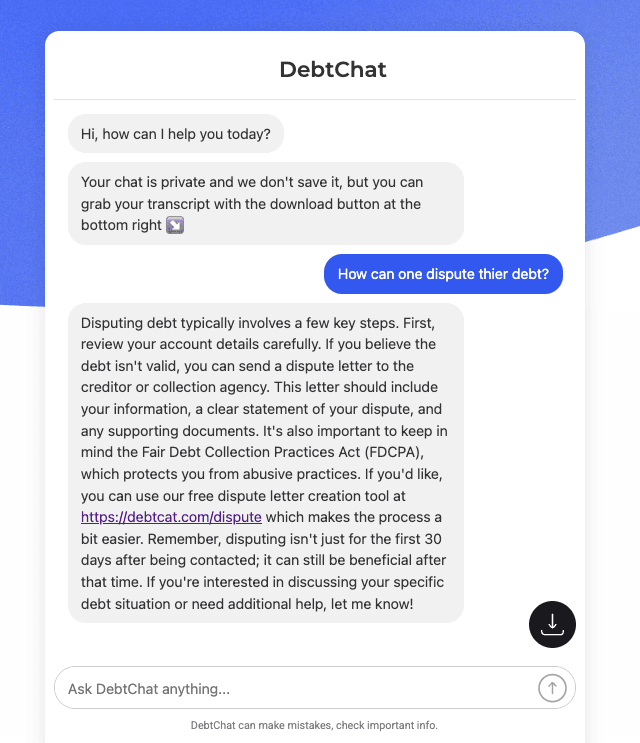 DebtCat AI dispute assistant