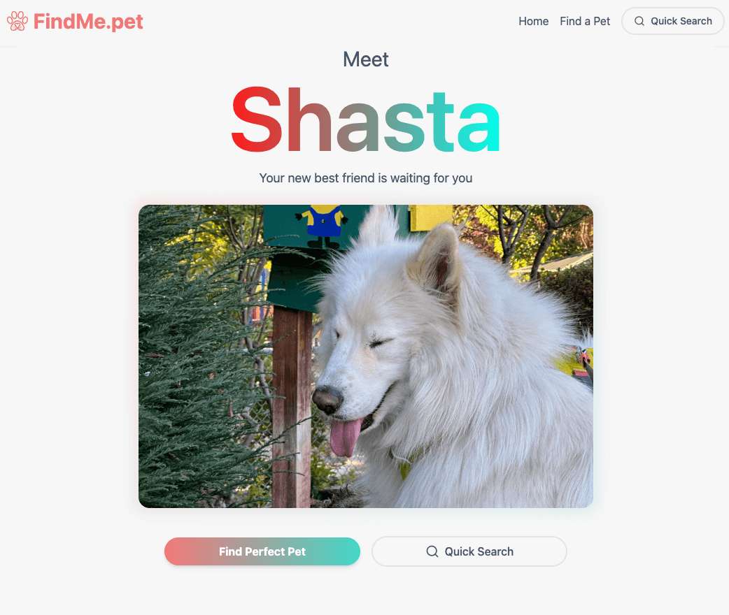 FindMe.pet home page
